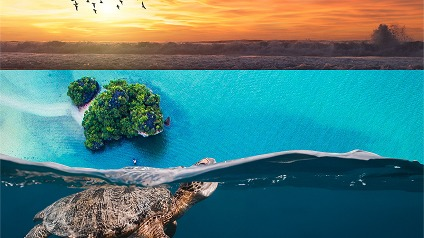 Title Lorem ipsum dolor sit ipsum dolor sit amet consectetur