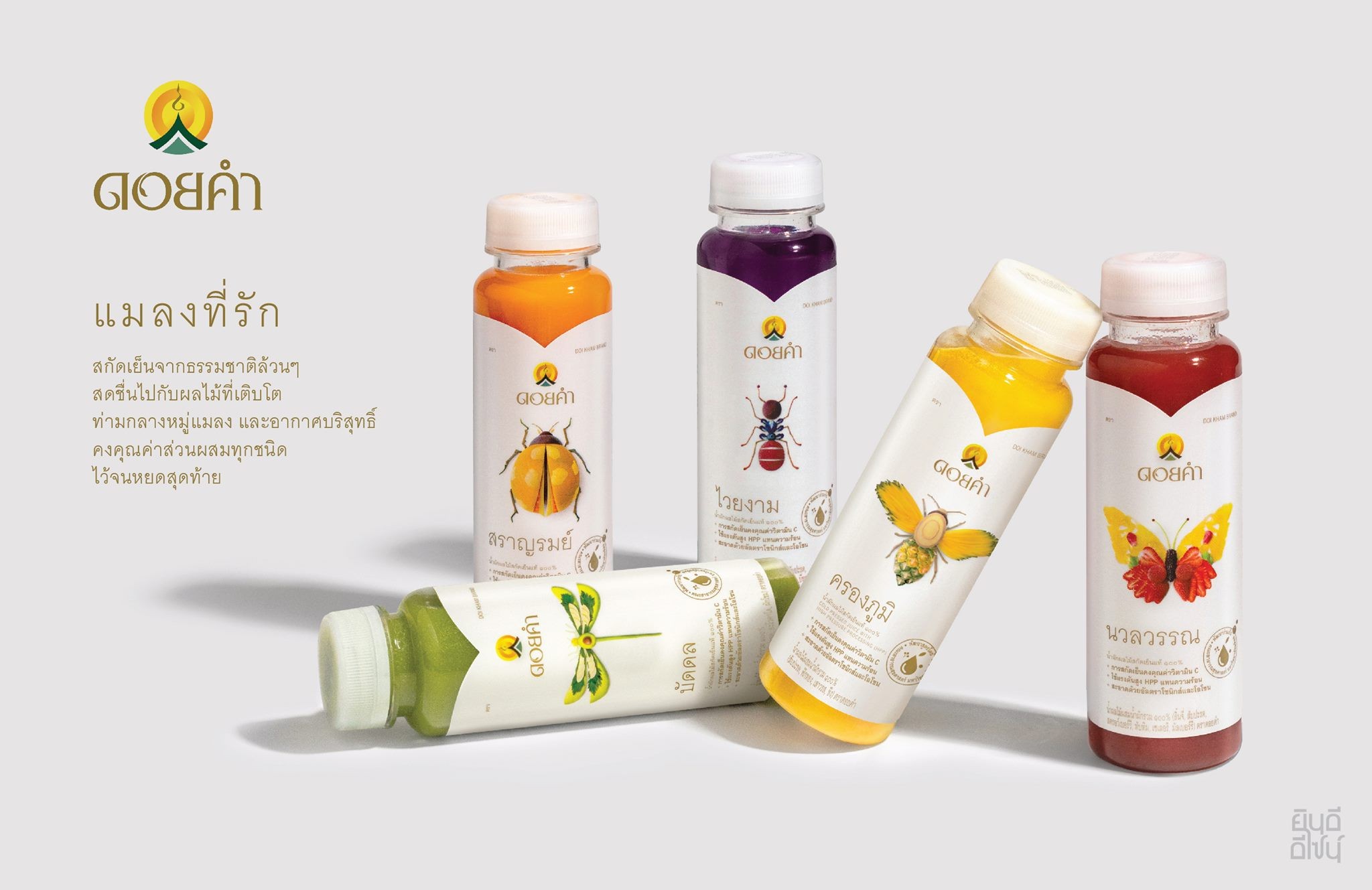 Yindee Design works Doi Kham Cold pressed Juice5